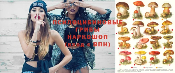 прущая мука Михайлов
