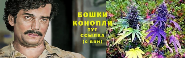 бутират Мегион