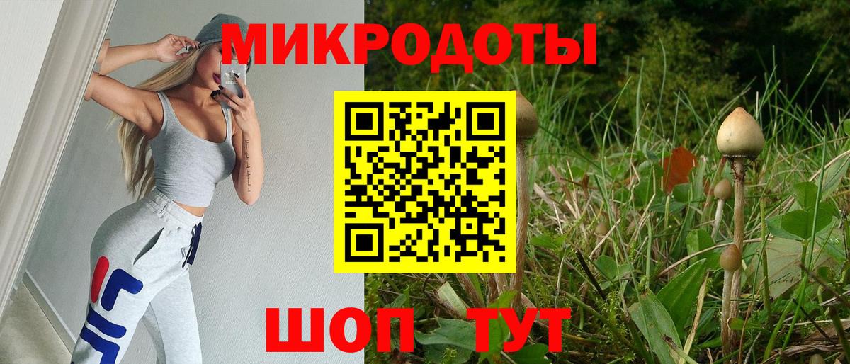 Галлюциногенные грибы Psilocybe Аша