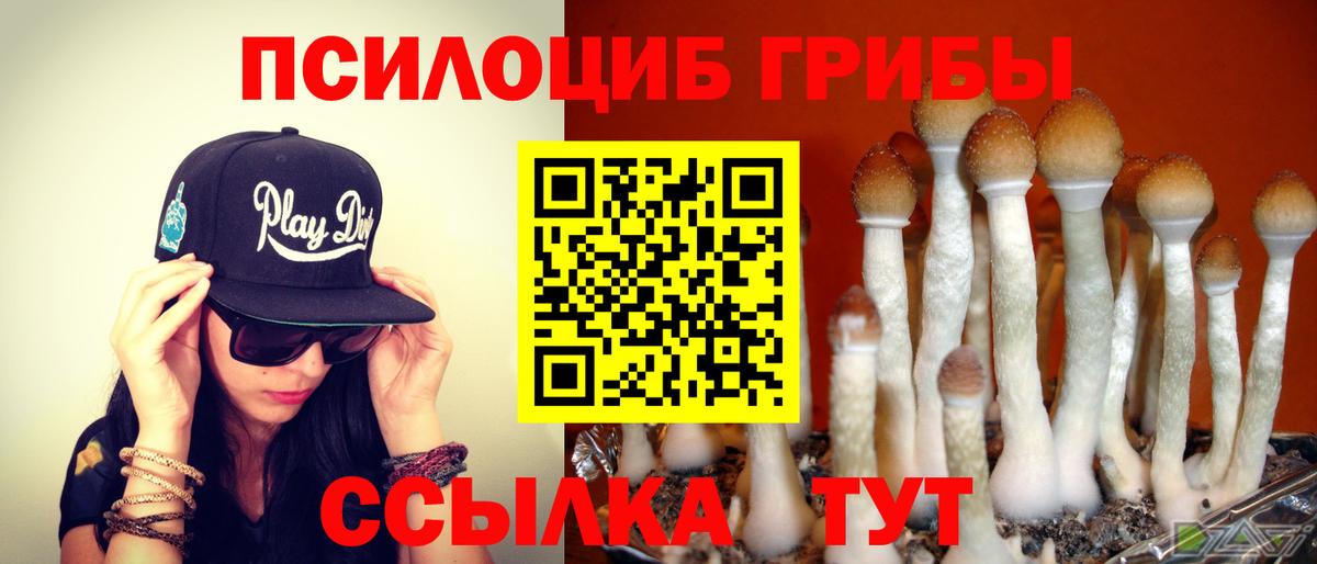 Галлюциногенные грибы прущие грибы Аша